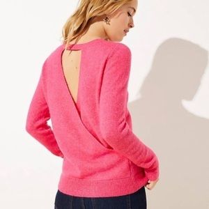 Loft Plus Open Back Sweater
